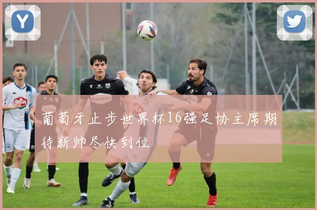 葡萄牙止步世界杯16强足协主席期待新帅尽快到位
