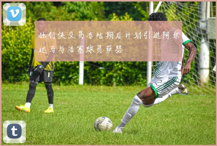 独行侠交易冻结期后计划引进阿尔达马与活塞球员萨瑟